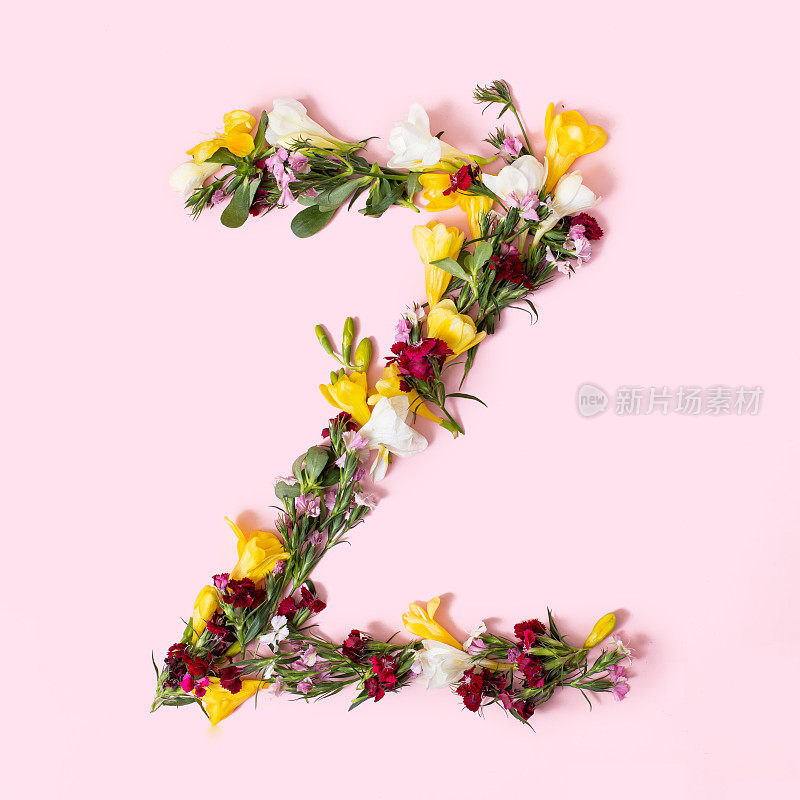 Letter Z made of natural flowers, petals and leaves. Floral font concept. Collection of letters and numbers. Spring, summer and holidays creative idea.